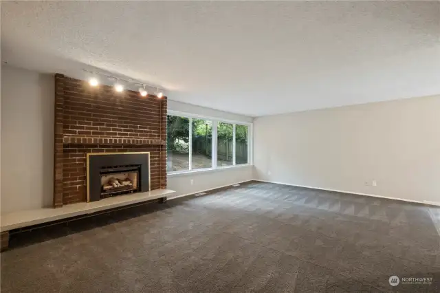 LR and gas fireplace