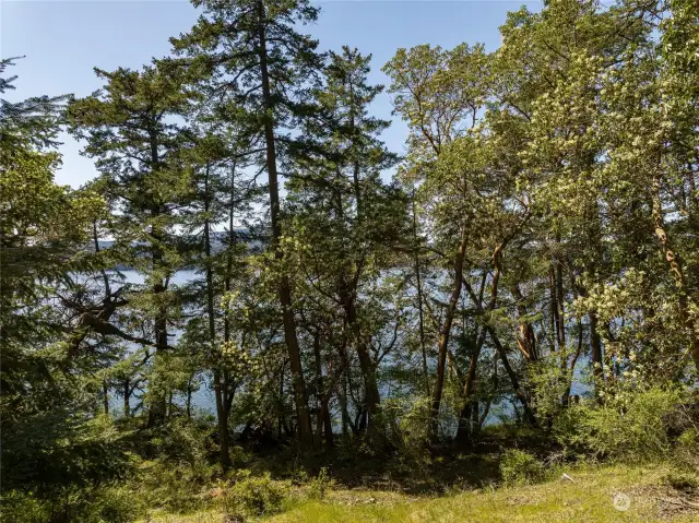 Your new home could be right here!  Trees could be limbed to open up the view to Eastsound.