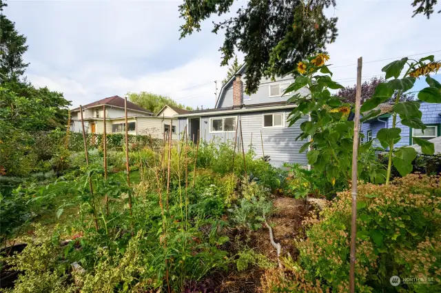 Lush backyard boasts ample space for gardening.