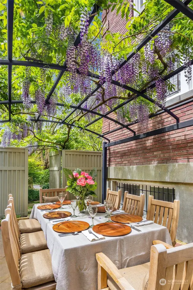Closer up of the custom pergola and wonderful wisteria. A delightful place to dine and entertain.