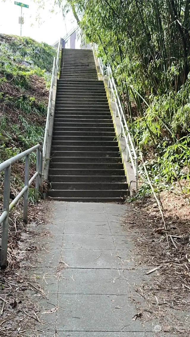 Stairs down to Marina