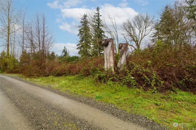 Peek a boo views of Mt Rainier from property. Well maintained entry road and mostly level, rectangular lot great for building your dream home or possible subdivide. Buyer to verify all information to their satisfaction.