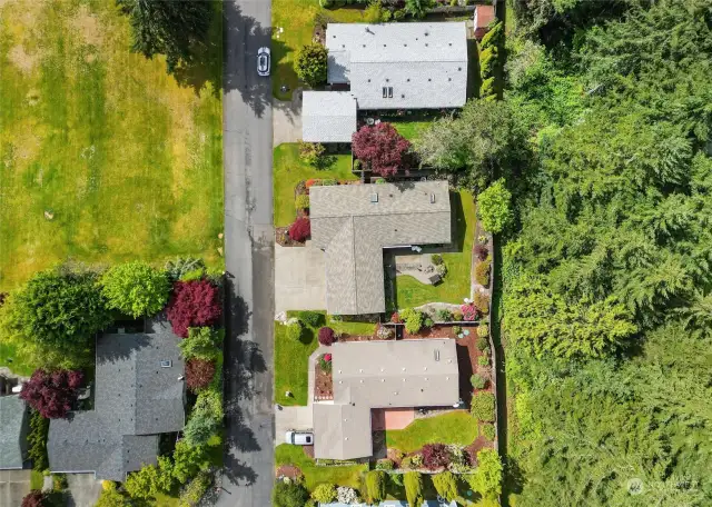 An aerial view of the home (middle) & yard, and the green belt behind.