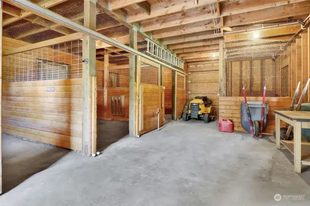 The barn has room for 4H and/or FFA projects. It’s built for horses but it will hold all sorts of critters! Sheep, goats, chicken, llama, you name it!