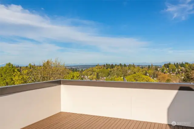 Plumbed with gas and water, the rooftop deck boasts big views of Mt. Baker, the Cascades, Lake Washington, and Mt. Rainier