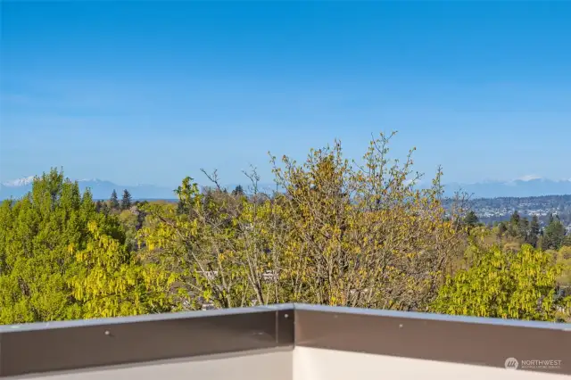 Plumbed with gas and water, the rooftop deck boasts big views of Mt. Baker, the Cascades, Lake Washington, and Mt. Rainier