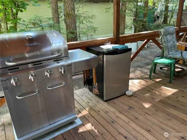 BBQ and small fridge on deck