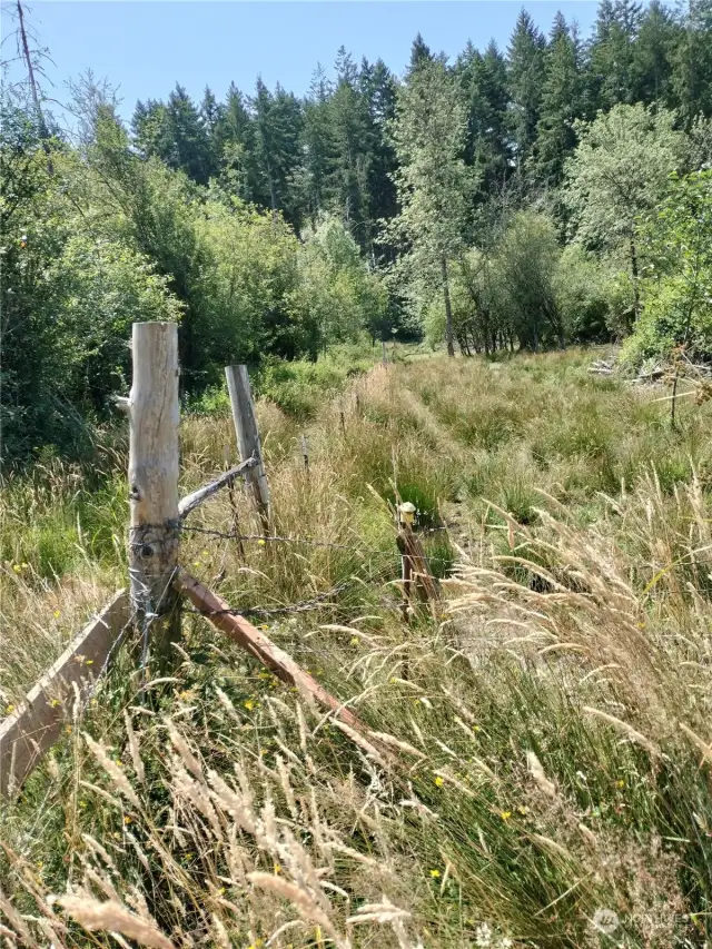 Fence line facing south