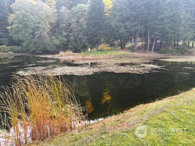 Swim lake at lower off season level.