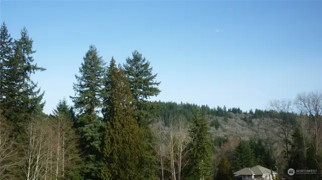 View of Cougar Mountain