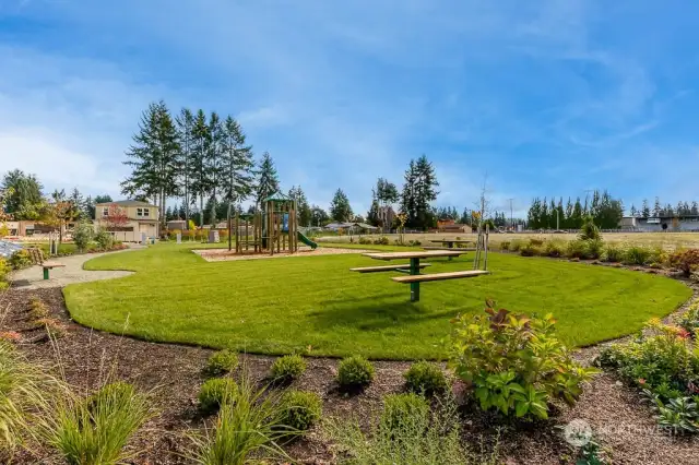 Community-park and playground!