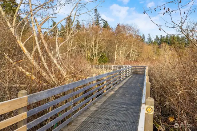 Hawley Cove’s boardwalks are ADA accessible, and wind through magical wetlands that support a huge population of birds, including red-winged blackbirds.