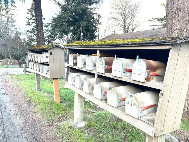 Mailboxes for both Driftwood Buildings