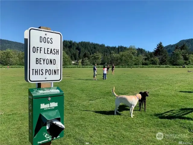 Off leash dog park