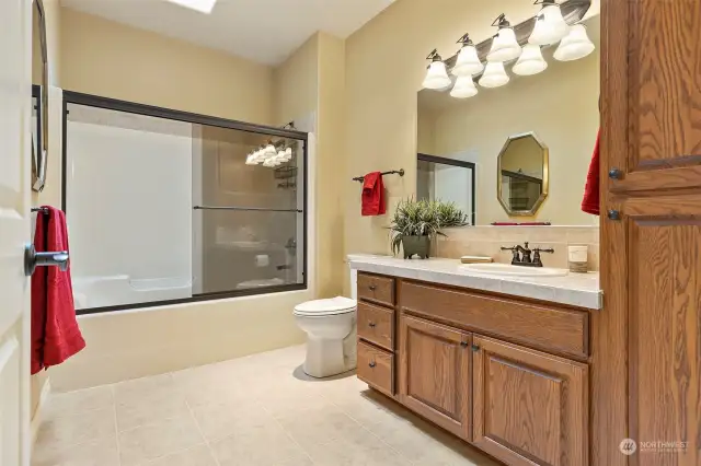 Good size guest bathroom, over head skylight, extra storage cabinets.