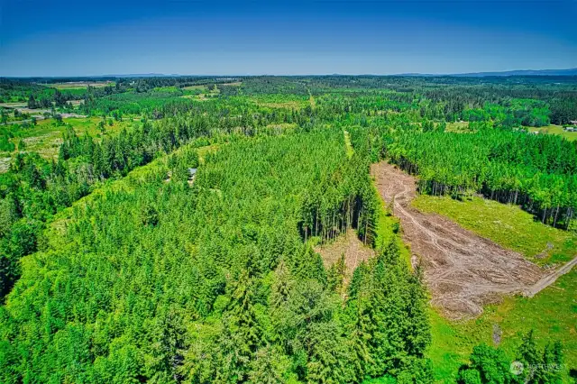 Level 20 acres parcel - RDD-20 - WATERFRONT Creek