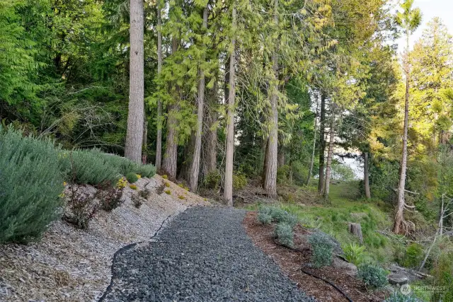 Wide landscaped path to the waterfront