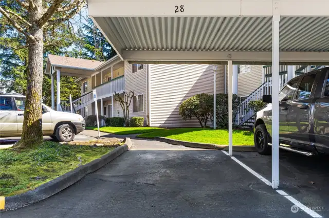 Your designated carport parking spot just down the stairs and lots of extra guest parking in the complex and several spots just to the left of your designated spot.