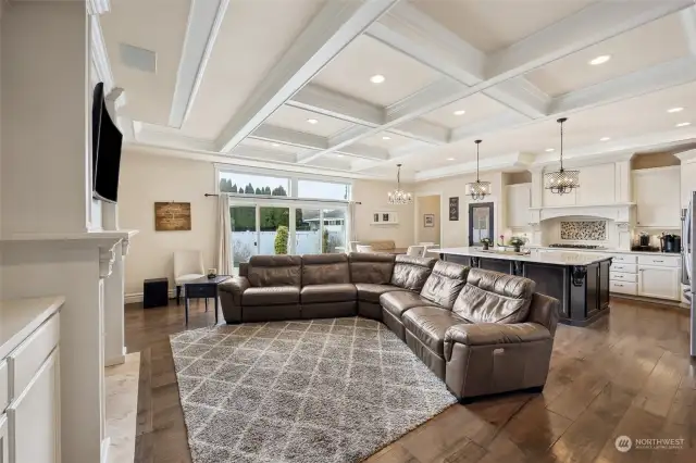 Open main floor family room big enough to seat the whole baseball team! Engineered hardwood floors, 10ft ceilings, box beamed ceiling with lots recessed of lighting, built-in Infinity speakers.