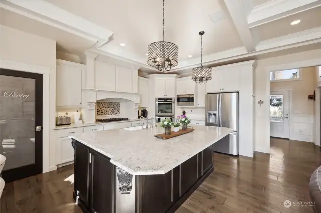 Oversized kitchen that every chef dreams of and is loaded with details- stunning lighting, top of the line appliances (Professional Viking cooktop & microwave, European Fulgor double oven) pot filler above cooktop, walk-in pantry, Insta-hot at sink, undercabinet lighting, storage under breakfast bar side of granite island & farm house sink.