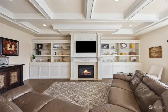 Custom built-ins, Infinity speakers for the complete surround sound experience, custom detailed mantle & gas fireplace.
