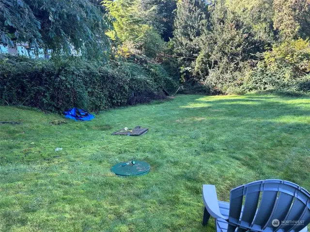 Nice yard for play and sun.