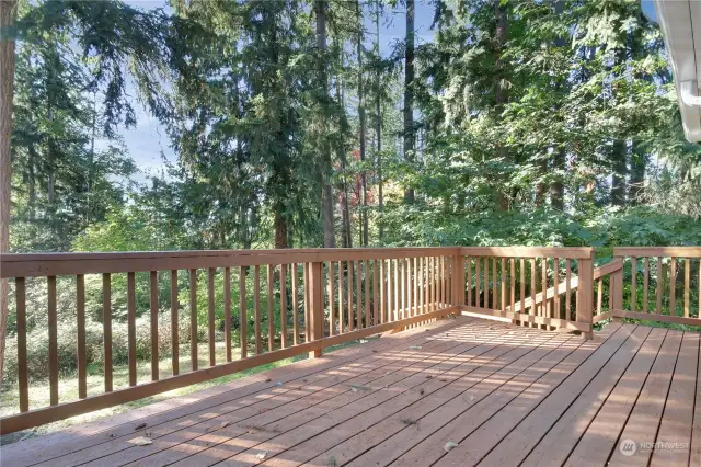 Deck off of Family Room