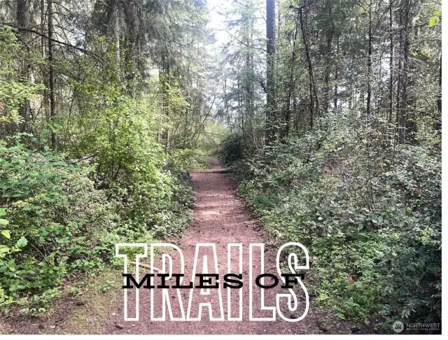 The William Ives Trail is a dog & bike friendly, forested natural surface walking trail, through a nature preserve with fairway views of the Woodlands Golf Course. Trailheads are located just steps from your front door, on Willamette Drive and at Meridian Neighborhood Park.