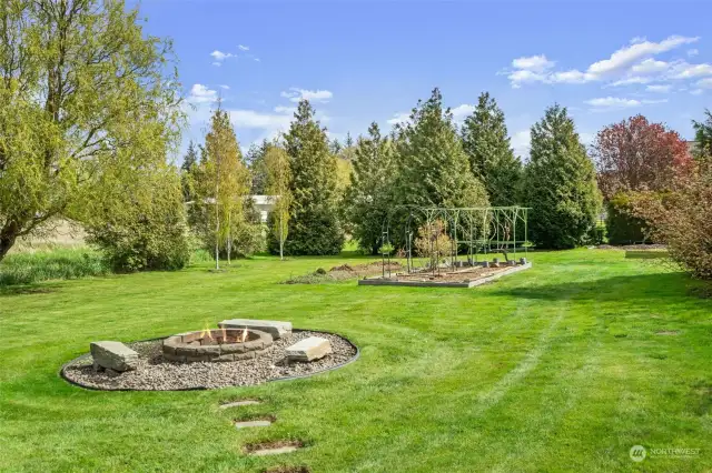 Large yard w/ firepit and garden full of blueberries and grapes