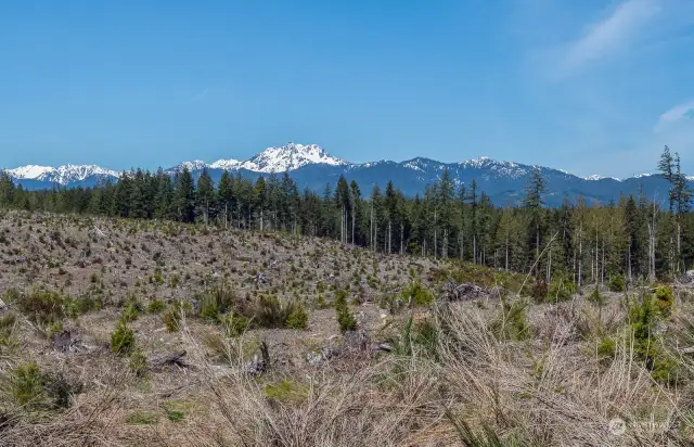 Panoramic Olympic Mountain views to the West. Enjoy incredible sunsets from this incredible 20 acre parcel.