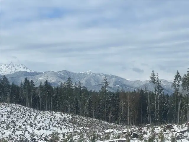 A wintertime view of the Olympic Mountains.