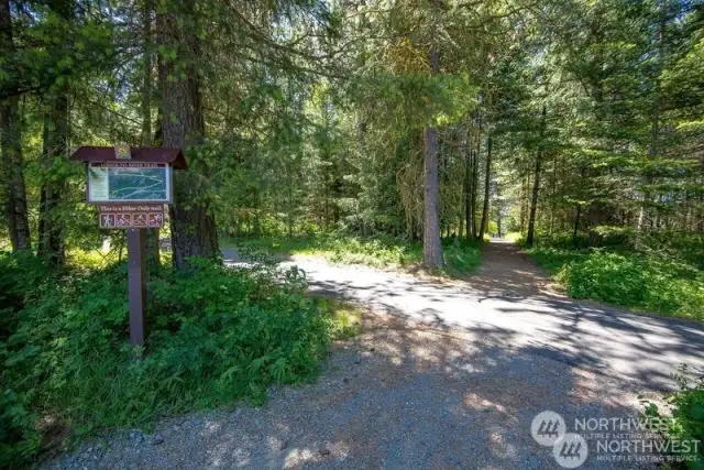 One of the many Suncadia walking/biking trails. Bring a lunch and enjoy the day in nature!