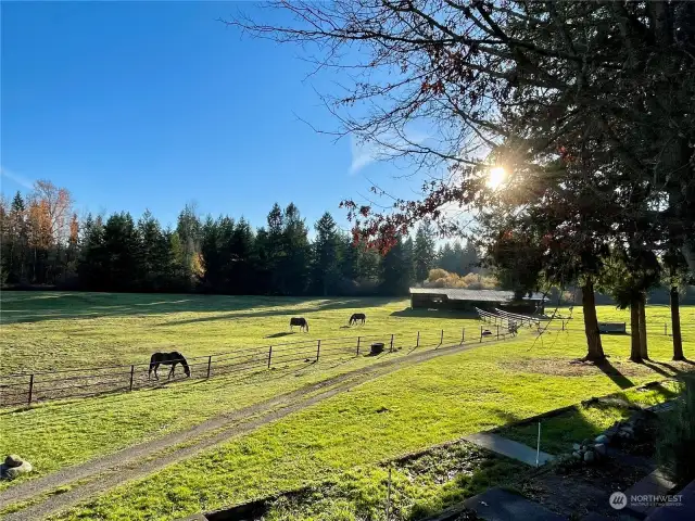Usable acreage. Year round pasture.