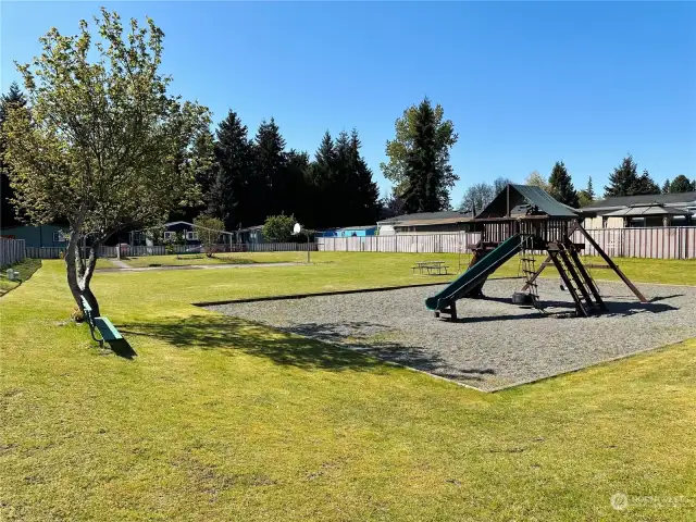 Common Playground Area