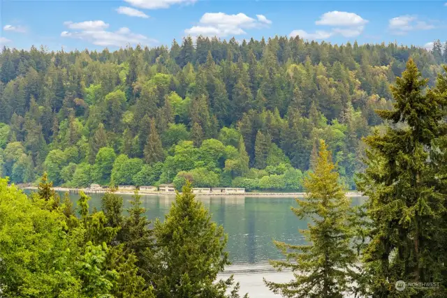 Surrounded by towering evergreens, it's no wonder Washington State is known as "The Evergreen State."