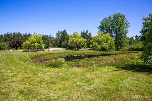 Grassy section overlooking pond with large outdoor arena beyond.