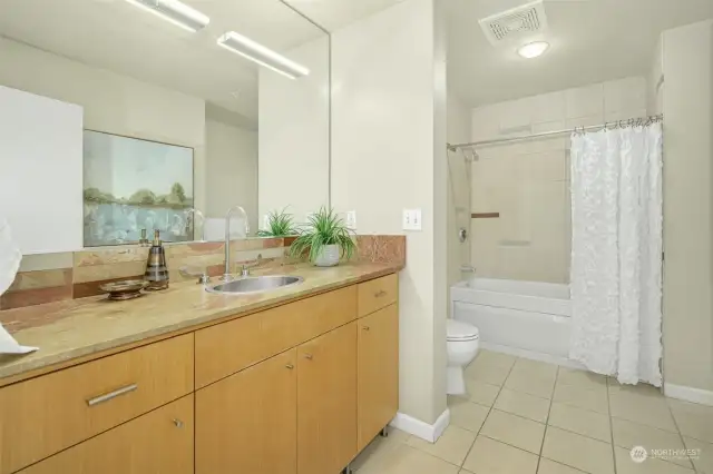 Another very large bathroom, this one with a bathtub.