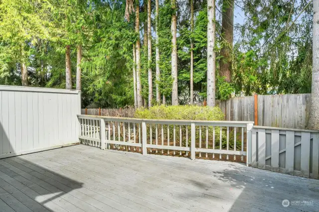 Private rear yard with large deck, great for outdoor entertaining.