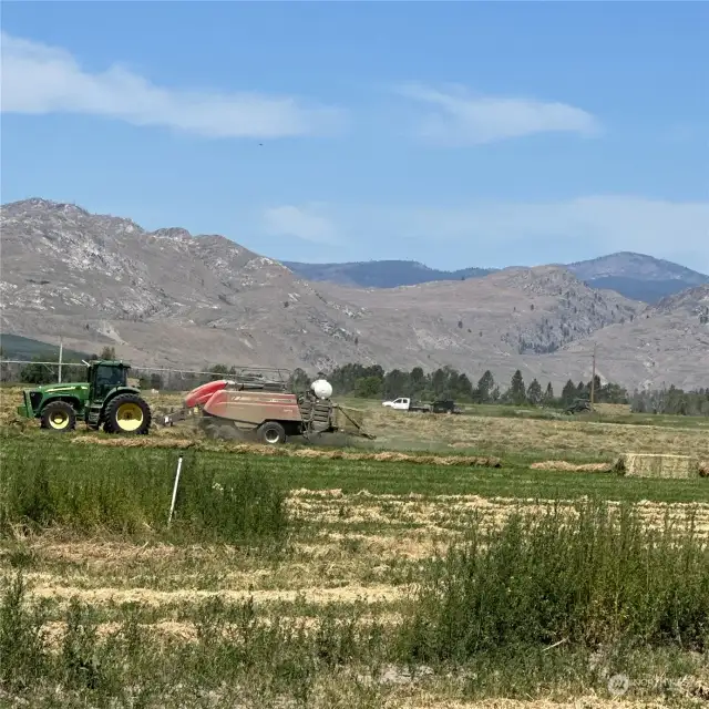 Baling of the alfalfa crop
