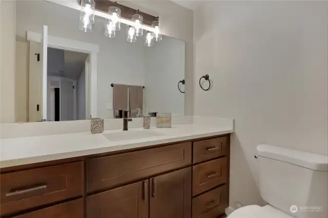 Basement Primary En Suite Bath (Shower is to the left, not pictured). Large Vanity w/Tons of Counter Space!