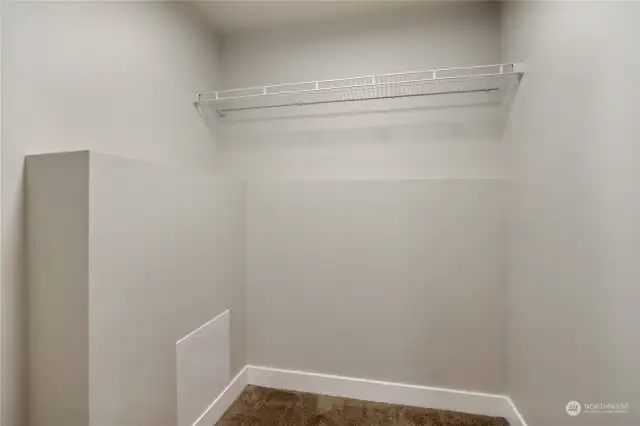Basement Primary Bedroom Walk-In Closet. (1 of 2, the other isn't pictured)