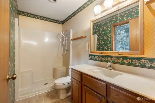 Primary bathroom suite with easy access shower.
