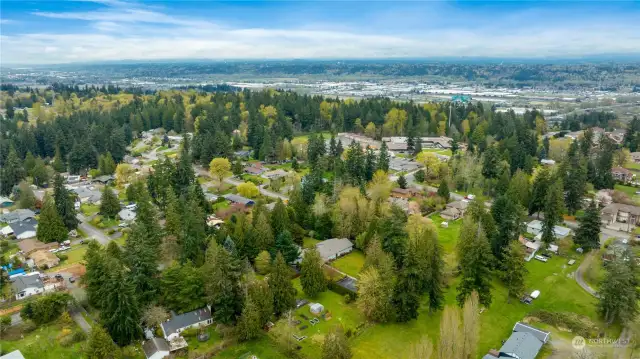 Aerial view of the neighborhood.