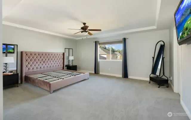 French doors lead to the spacious primary bedroom with more tray ceilings and Honeycomb blinds.