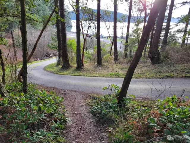 Short cut trail through the woods