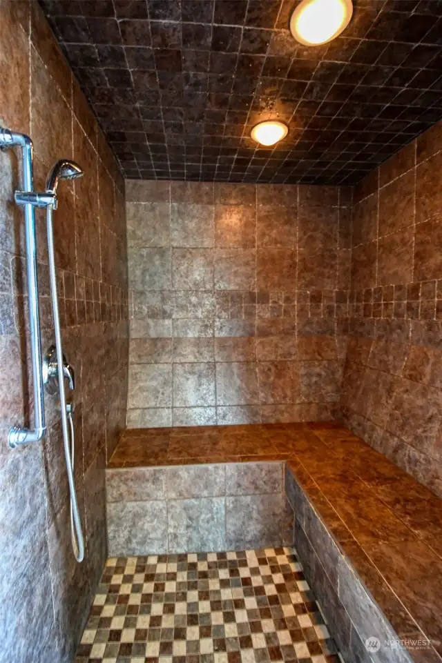 Sauna / shower combination