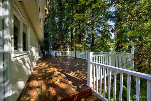 Light through the leaves make this a great deck for entertaining high above the creek.