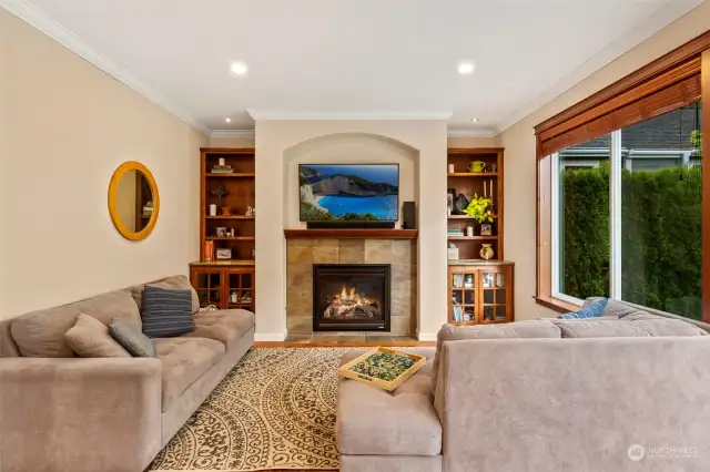 This is the family room with built-in cabinets, tile surround fireplace and a great view of the backyard.
