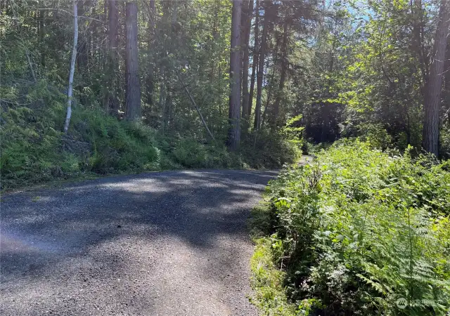 Beautiful driveway that winds through the forest to the house that's tucked back off the road for privacy.