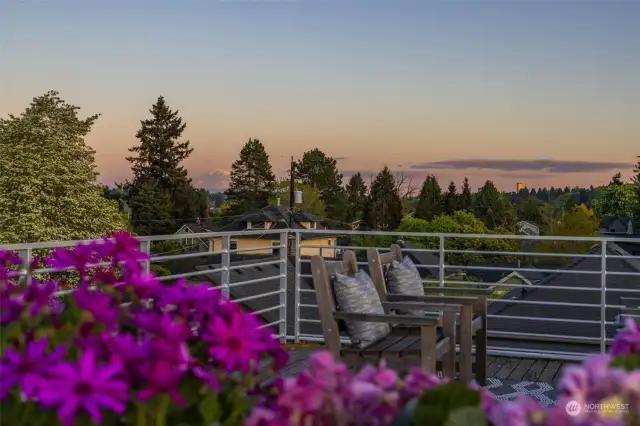 Roof top deck with views of Rainier on a lucky day